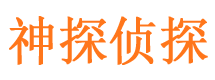 沙雅侦探公司